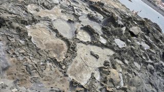 2024-11-GranCan-Playa_de_El_Puertillo-041.jpg